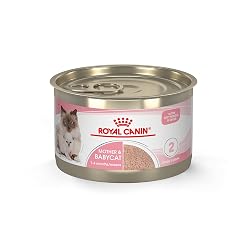 Cat Food