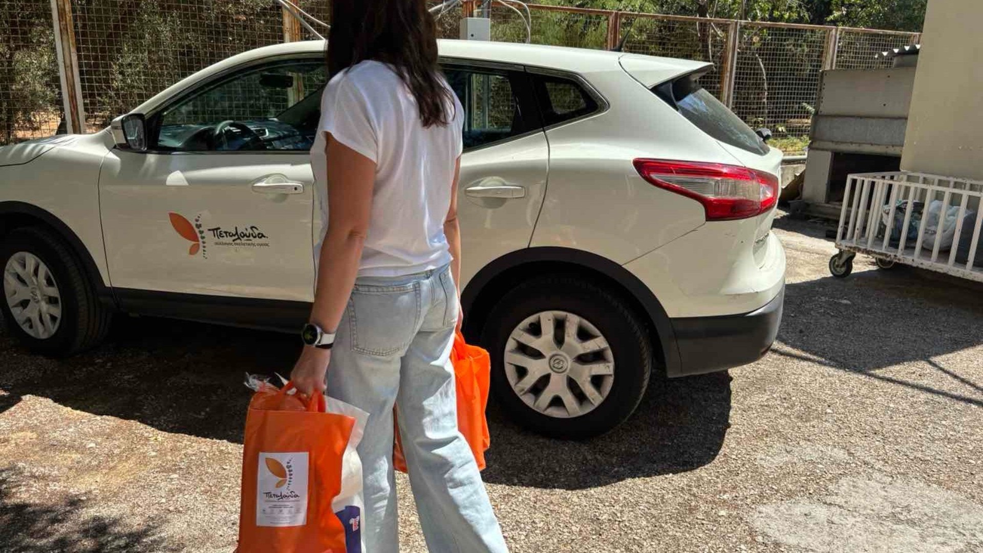 photo of previous delivery products arriving at charity
